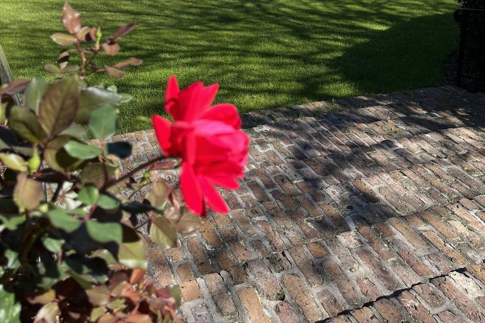 Back courtyard