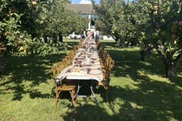Dinner in the Vineyard