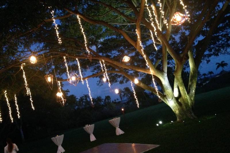 Wedding lights