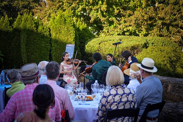 Quartet at a garden dinner