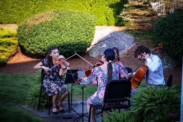 Quartet in a garden