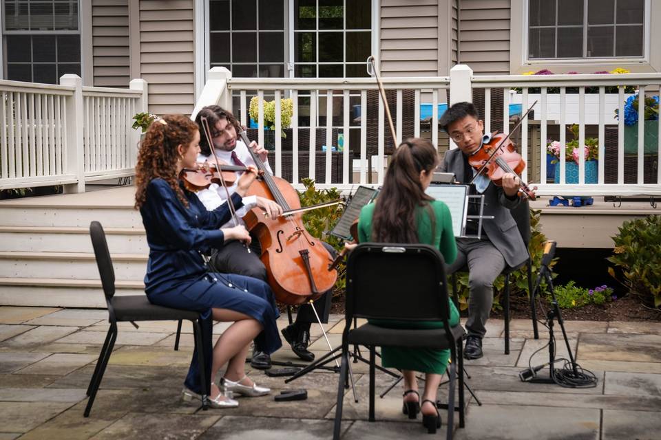 Quartet on a stone patio