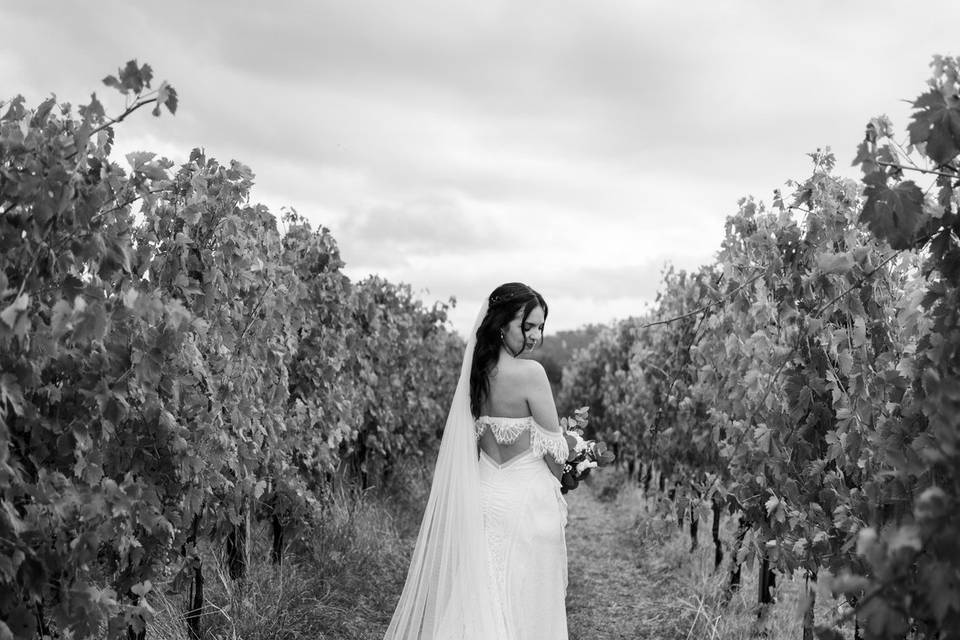 Vineyard wedding