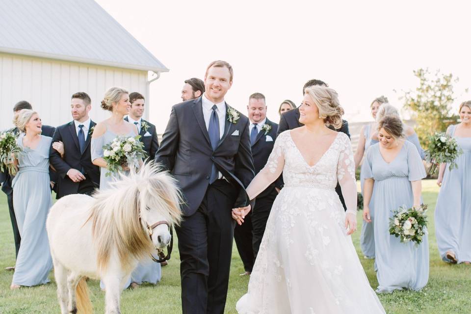 Equestrian Wedding Venue TX