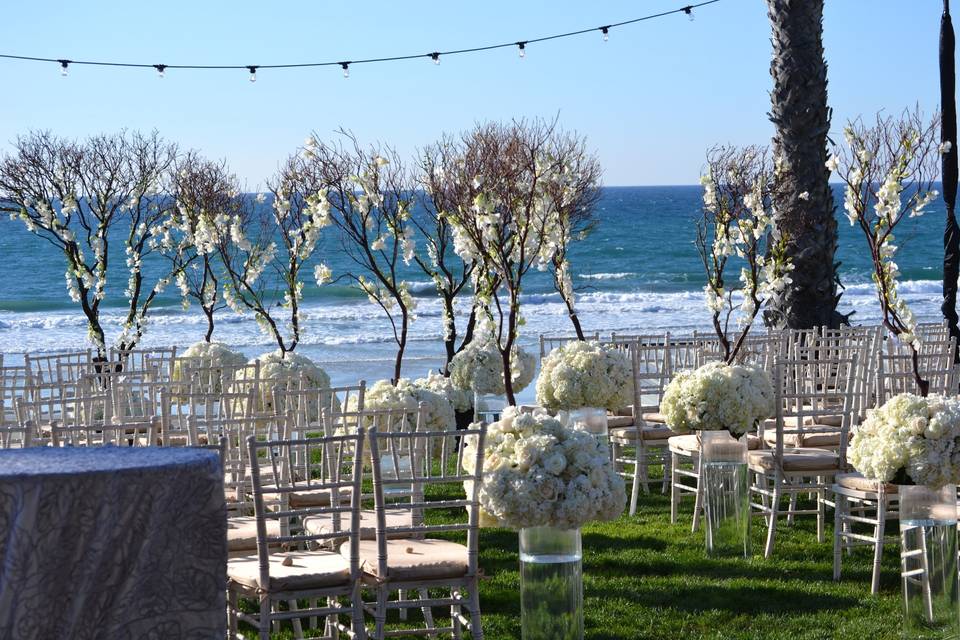 Blooming Stems Floral Design