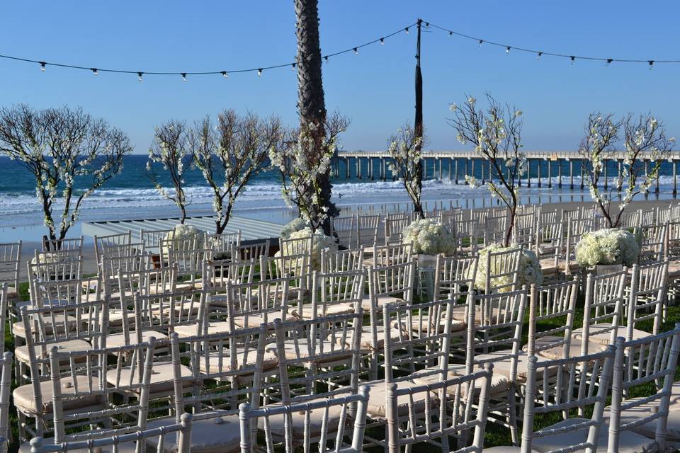 Blooming Stems Floral Design
