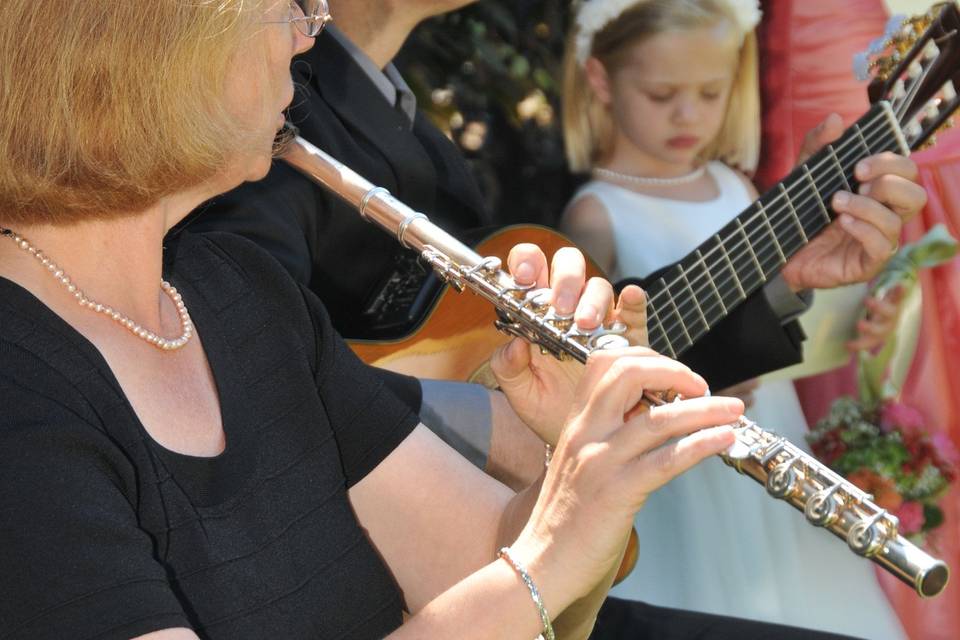 The musicians