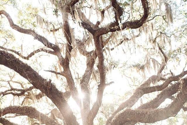 Jenn Guthrie Photography