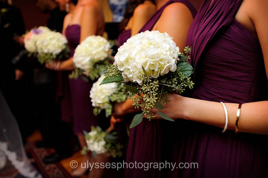 Image courtesy of Ulysses Photography - www.ulyssesphotography.com