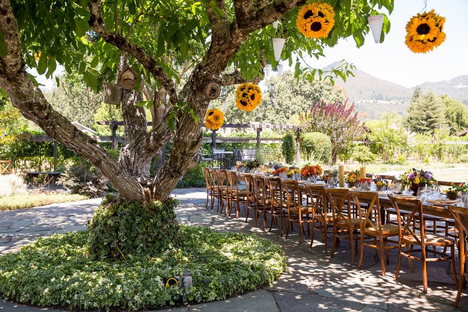 Fearon May Events Planning Napa CA WeddingWire