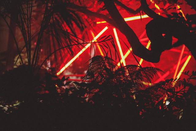 Heart with the plants