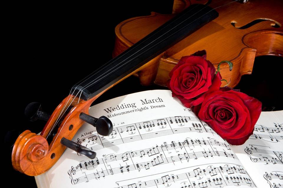 Jennifer Johnson Wedding Violinist