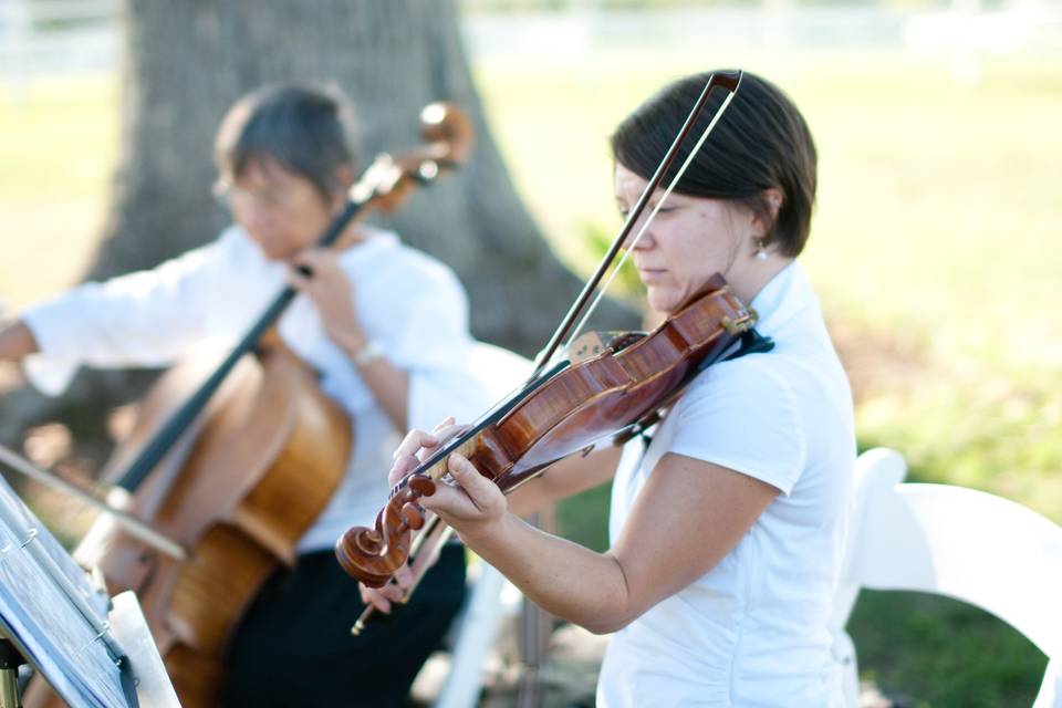 Jennifer Johnson Wedding Violinist