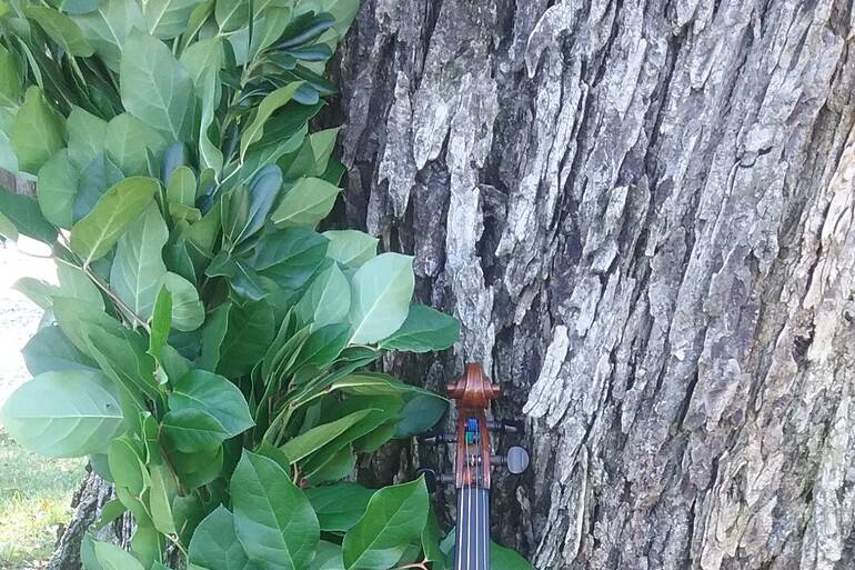 Jennifer Johnson Wedding Violinist