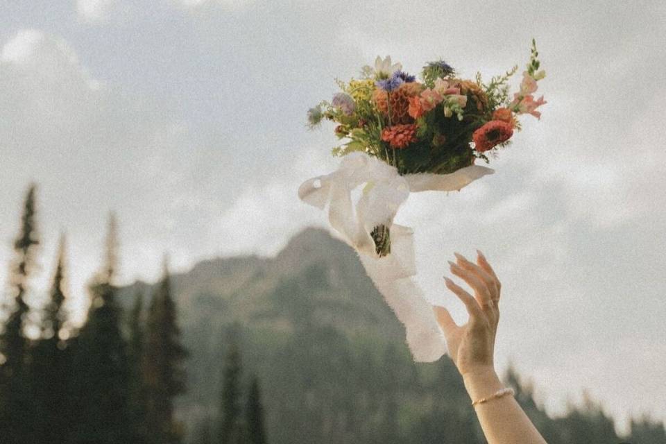 Petals & Pots