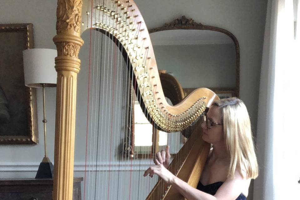 Harp music for your wedding!