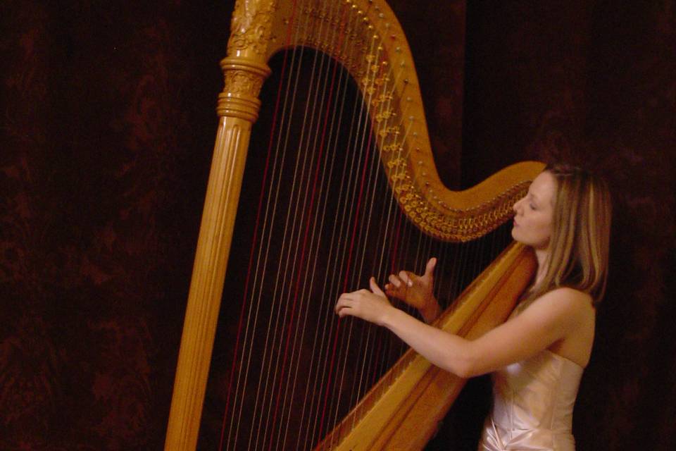 Harpist