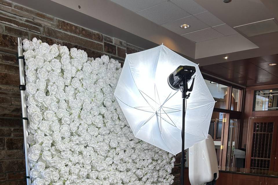 3D White Rose Backdrop