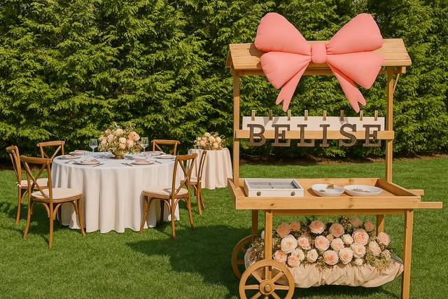 Outdoor Wedding Setup