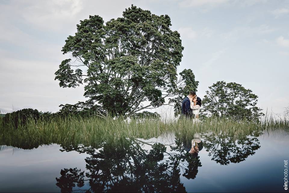 Pond view