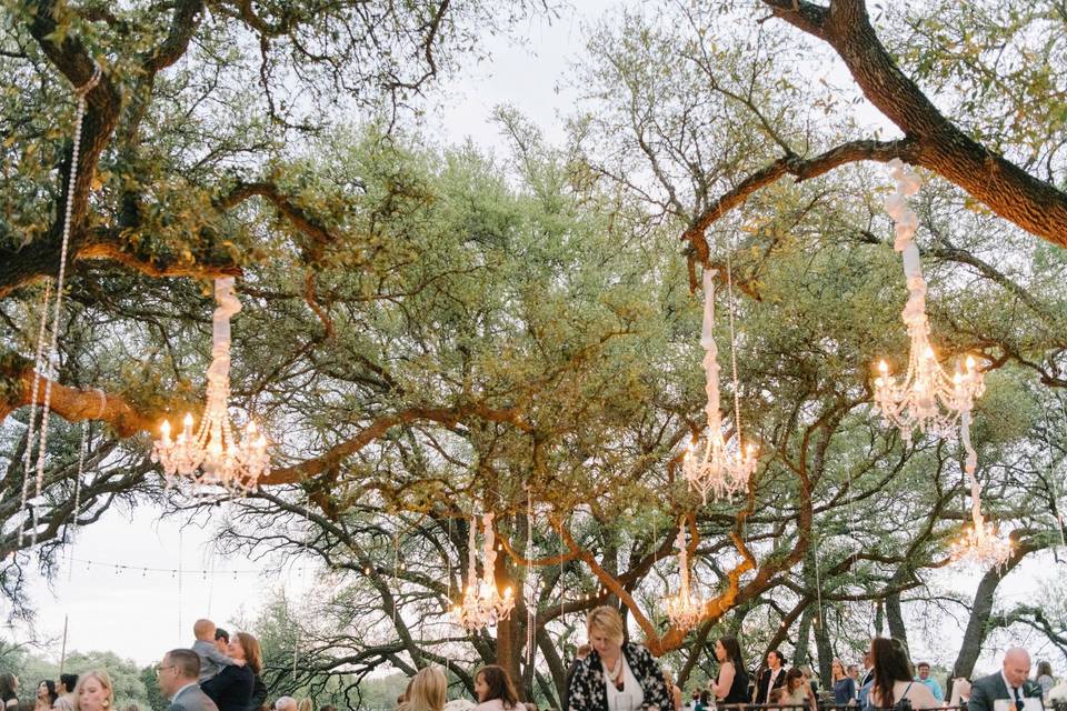 Chandeliers and trees