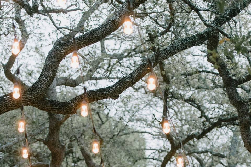 Fairy tale garland lights