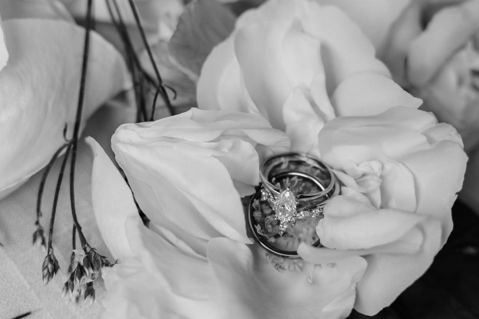 Black & white wedding rings