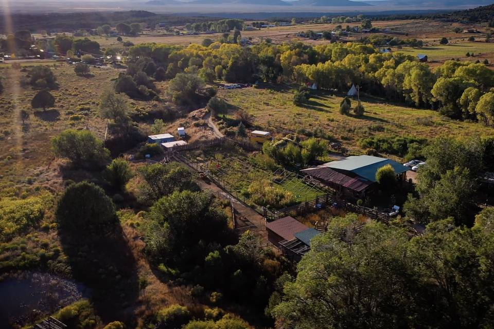 Cool Farm Fun Taos Goji