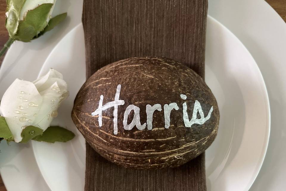 Painted coconuts invitations