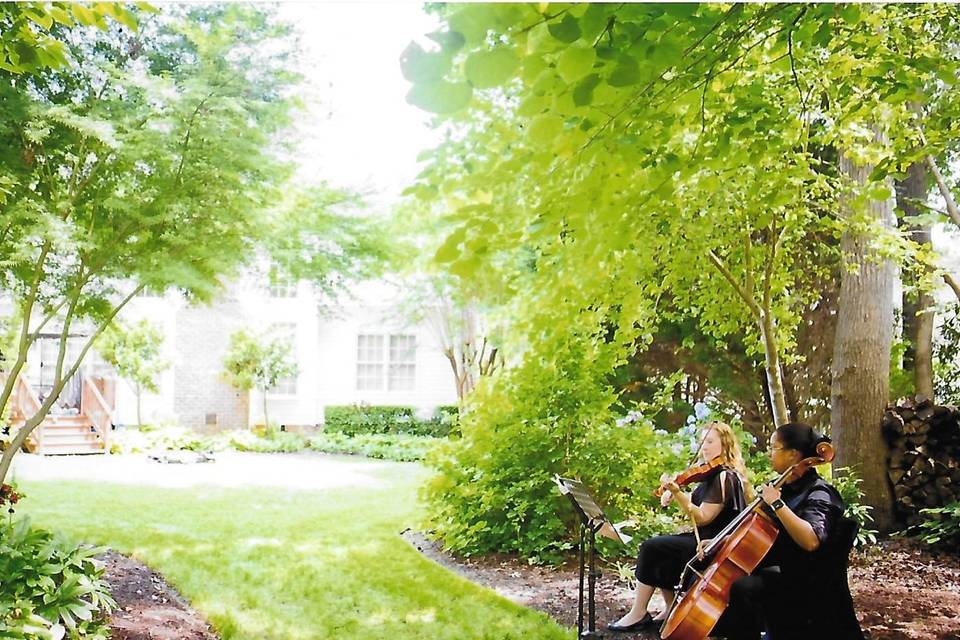 String duo in backyard