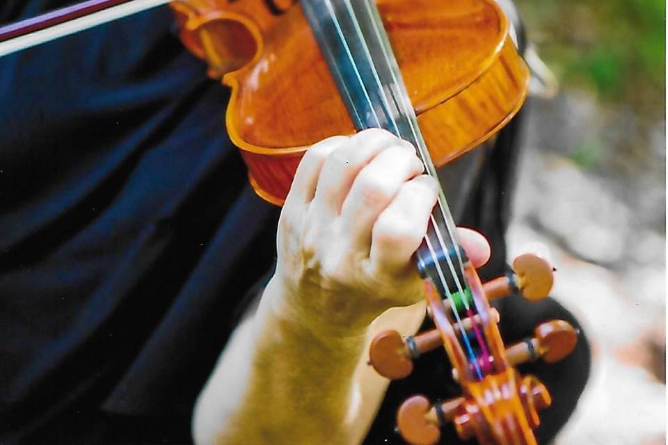 Violin up close