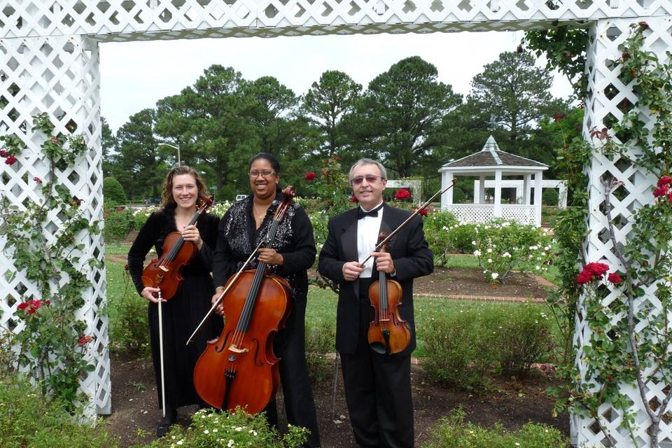 String Trio in rose garden