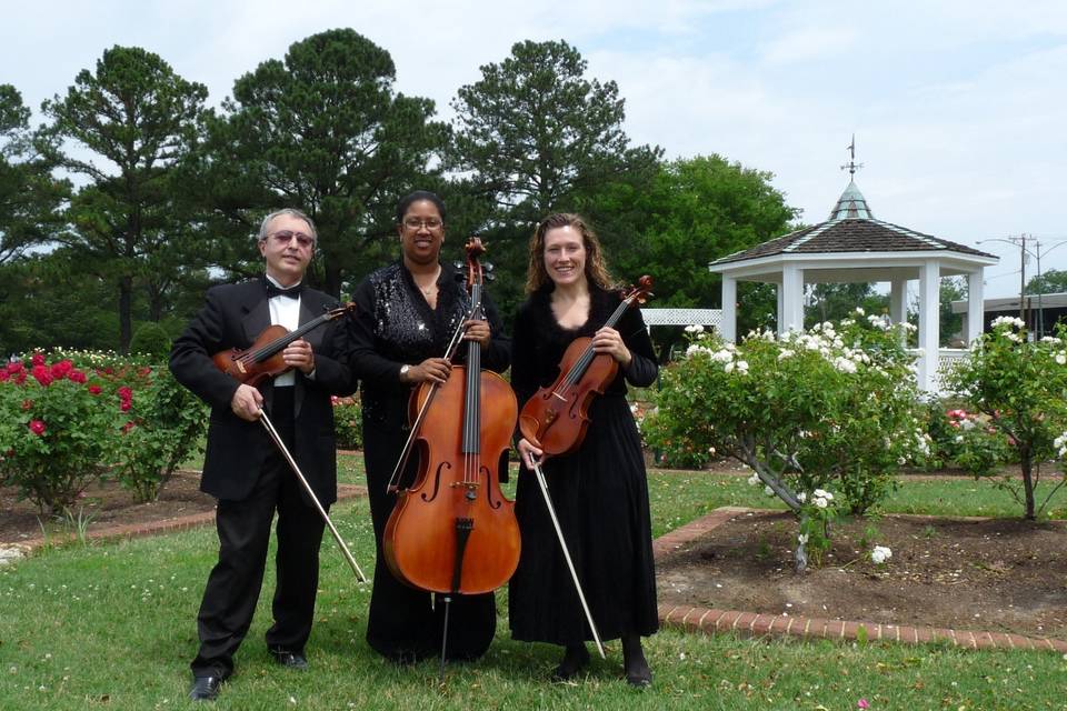 String trio outside