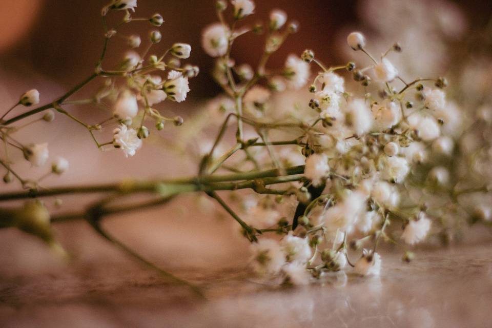 Baby's Breath Tiara
