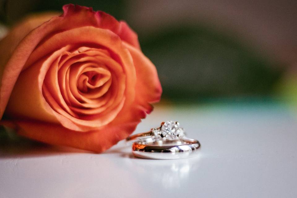 The rings