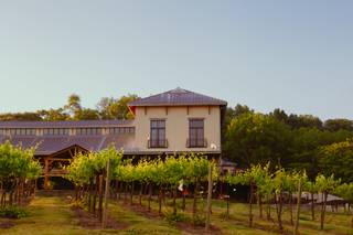 Chandler Hill Vineyards
