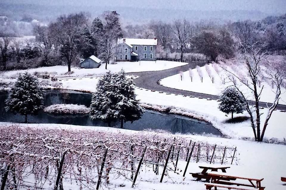 Chandler Hill Vineyards