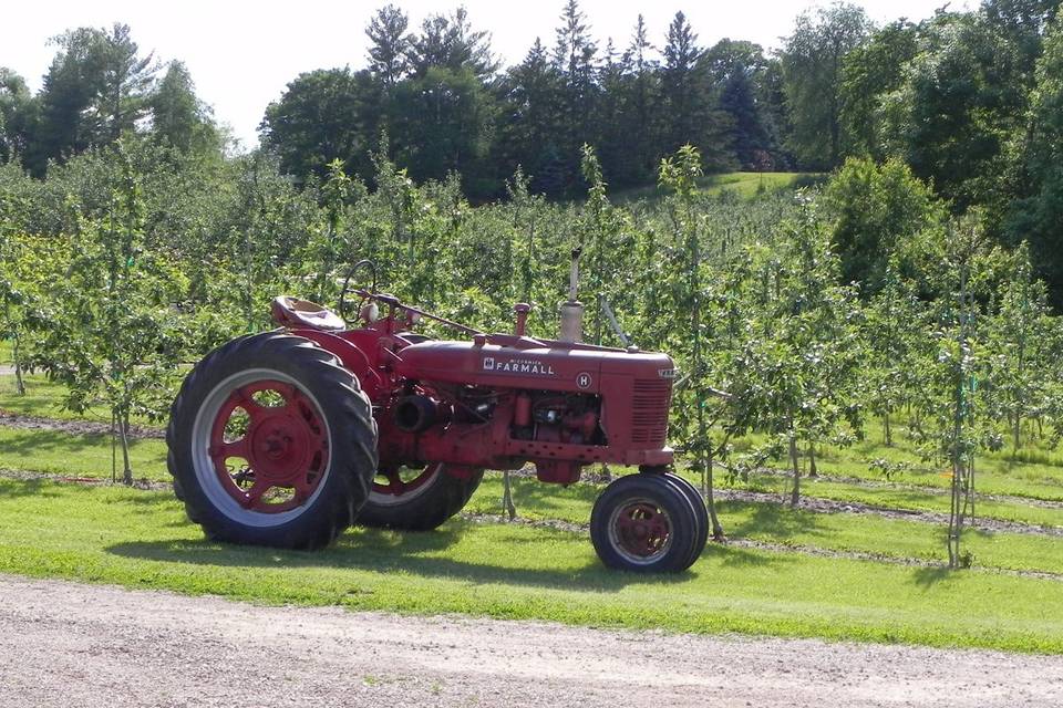 Minnetonka Orchards