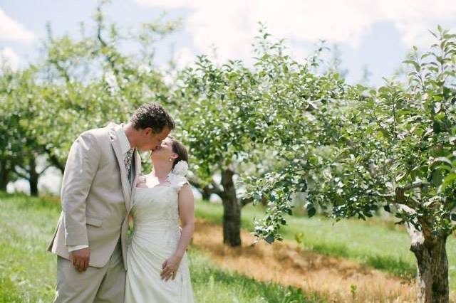 Minnetonka Orchards