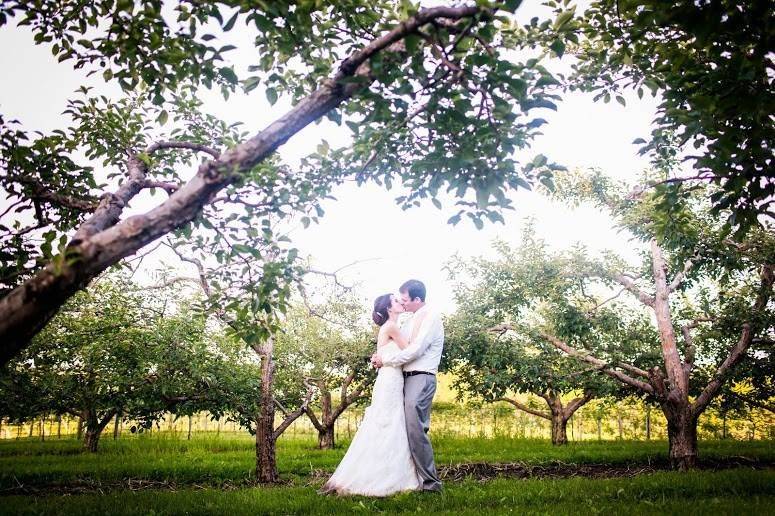 Minnetonka Orchards