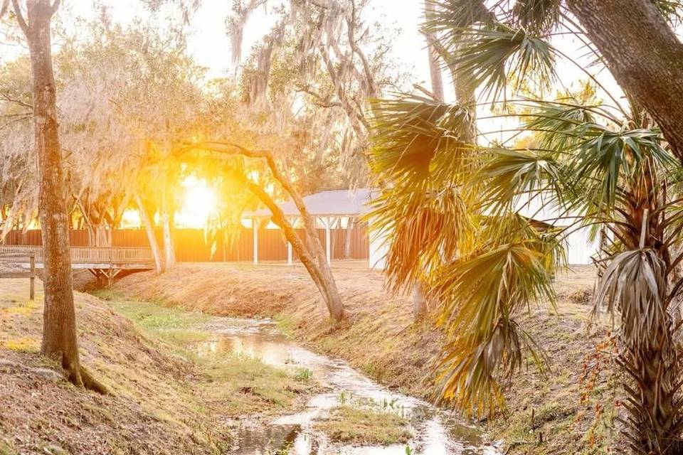 Southern Magnolia Venue