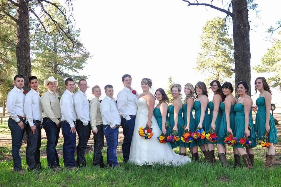 Wild Canari Wedding Coordination
