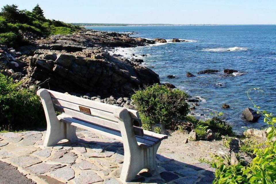 Rivers By The Sea