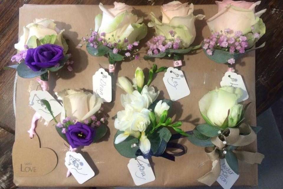 Cape Coral Flower House