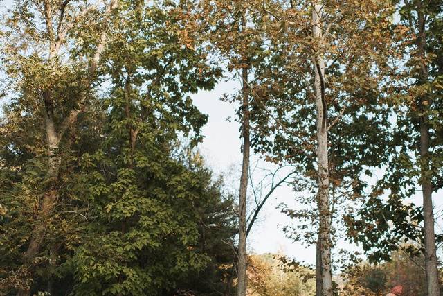 Forest Ceremony Location