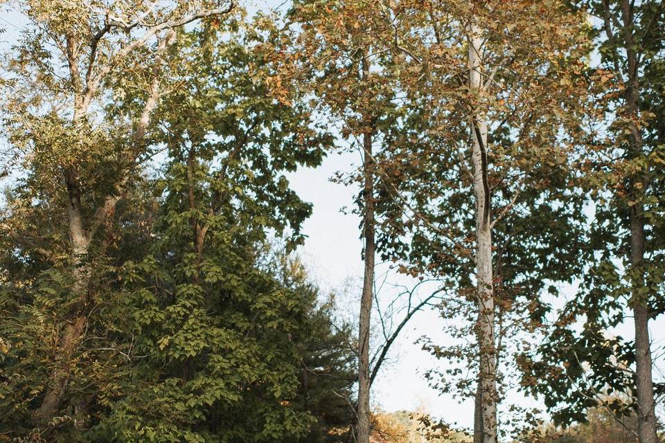 Forest Ceremony Location