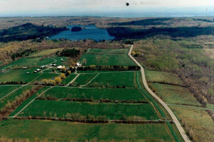 Aerial shot of the property