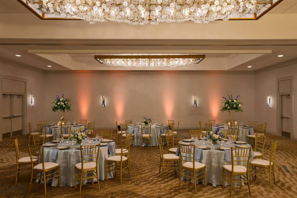 Indoor Reception