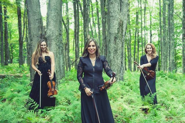 String Quartet for Cocktails