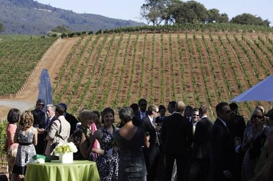 The vineyards of Kunde Estates Winery plays as the backdrop during the cocktail reception of this August wedding.